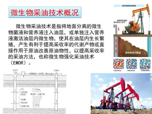 微生物采油技术概况